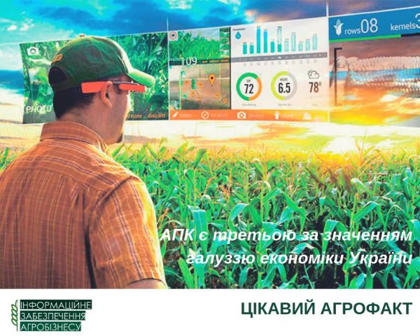 Цікавий агрофакт