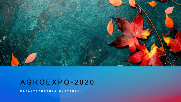 Огляд до міжнародної виставки “AGROEXPO”